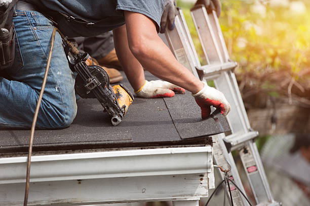 Best Metal Roofing Contractor  in Accokeek, MD