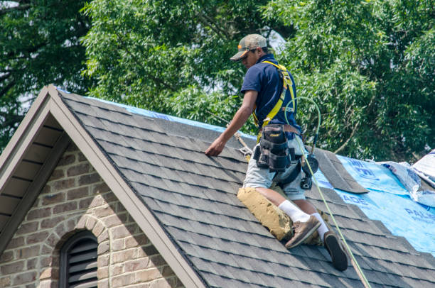 Best Gutter Installation and Roofing  in Accokeek, MD